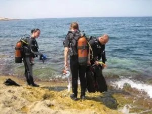 Diving — photo 4